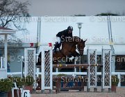 Novella del Castegno Tosc Tour2013- S5 1894 : Arezzo, Cavalli d'Italia, Novella del Castegno, Toscana Tour 2013, foto di Stefano Secchi ©